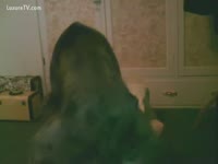 Animal sex clips dog banging a bitch